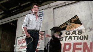 スナップショット-2016-01-09 at 11_19_20 PM-5499